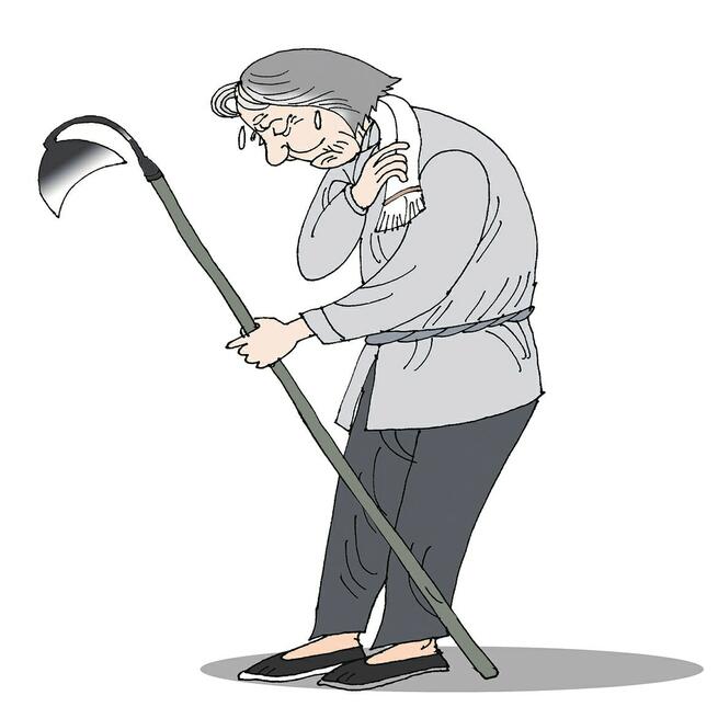 小伙雇用老人干农活是一种双赢之举